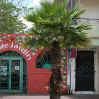 Marigot old Town