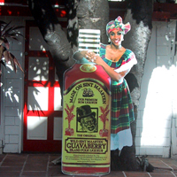 The Guavaberry Emporium