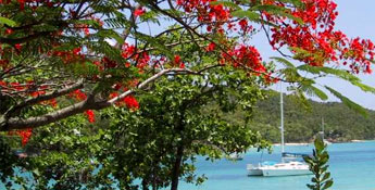 Sailing in the Caribbean St.Martin